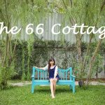 The 66 Cottage